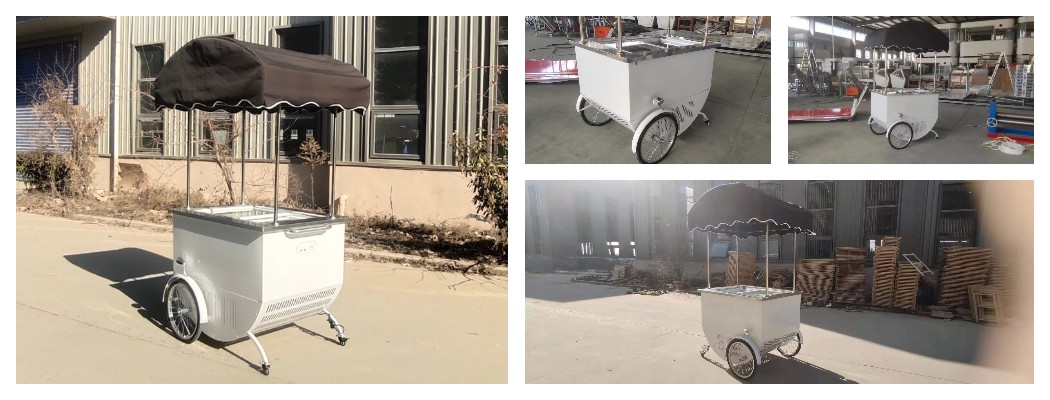 ice cream push cart freezer for sale